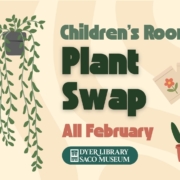 drawings of potted plants