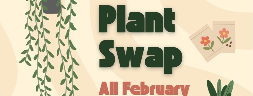 drawings of potted plants