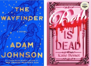 blue book cover and pink book cover