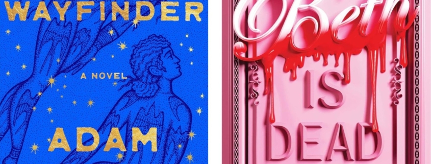 blue book cover and pink book cover