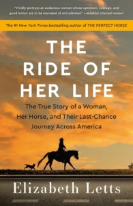 a horse and rider against an orange sky