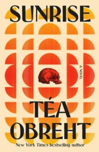 book cover with a graphic pattern of semi-circles and a red skull