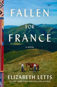 a oerson leading a horse on a mountain plain